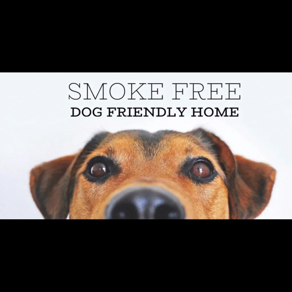 2 Victoria’s Secret Knockout Orange & Pink Strappy Back Sports Bras - Picture 7 of 7